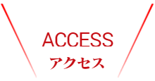 メンバー紹介
