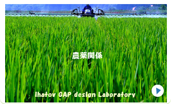 楽しく活動しています。